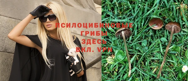 mix Сосновка