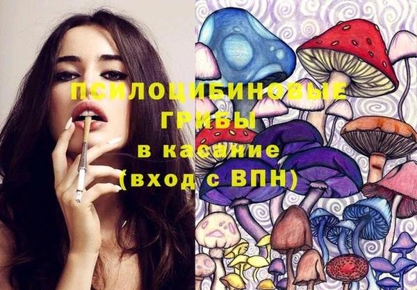 индика Верхнеуральск