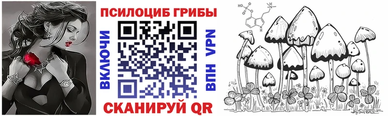 Псилоцибиновые грибы мицелий  магазин продажи   Дальнегорск 