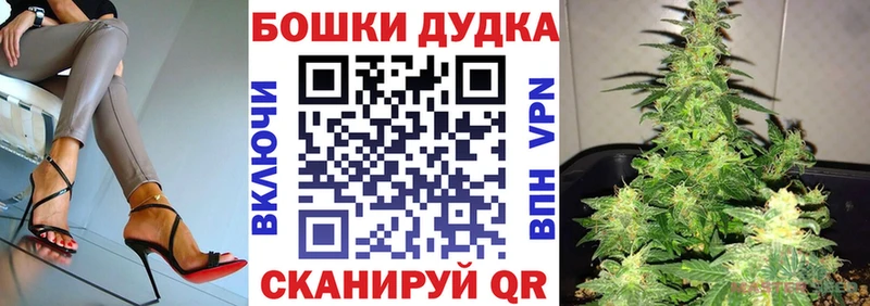 Канабис семена  Дальнегорск 